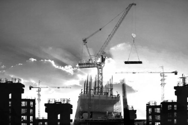 Gray Crane 2